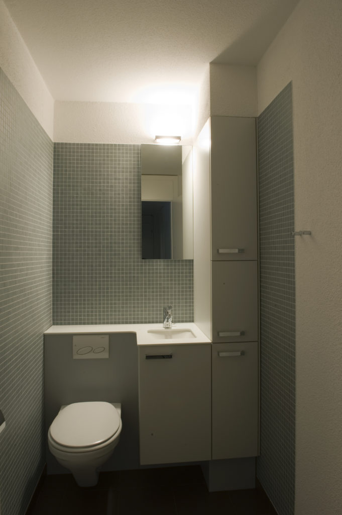 snw-arazebra_dsc5464